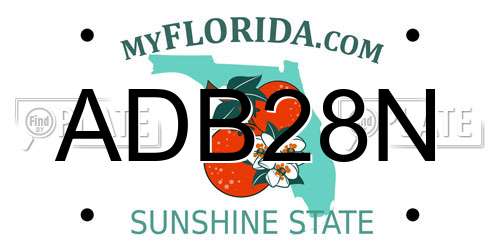 ADB28N Florida License Plate
