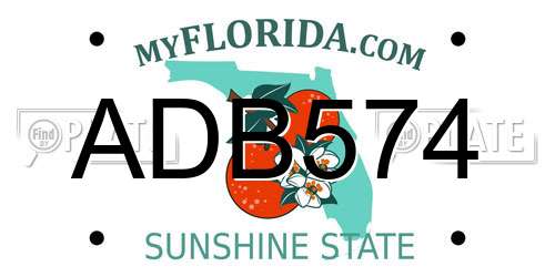 ADB574 Florida License Plate