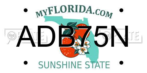 ADB75N Florida License Plate