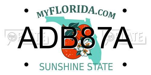 ADB87A Florida License Plate