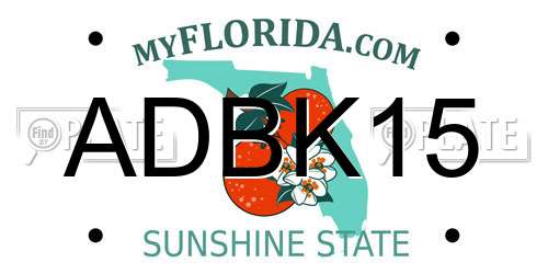 ADBK15 Florida License Plate