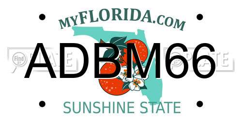 ADBM66 Florida License Plate