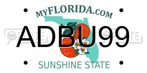 ADBU99 Florida License Plate