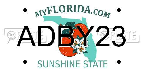 ADBY23 Florida License Plate