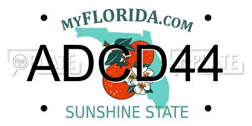 ADCD44 Florida License Plate