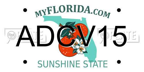 ADCV15 Florida License Plate