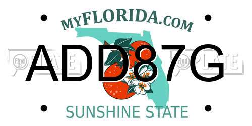 ADD87G Florida License Plate