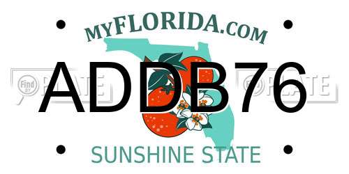 ADDB76 Florida License Plate