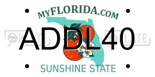 ADDL40 Florida License Plate