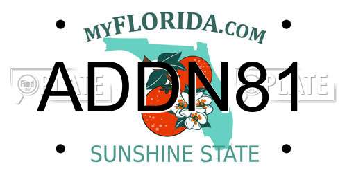 ADDN81 Florida License Plate