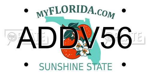 ADDV56 Florida License Plate