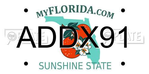 ADDX91 Florida License Plate