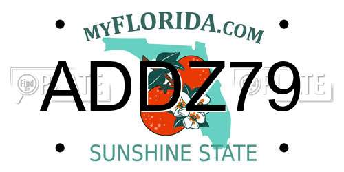 ADDZ79 Florida License Plate