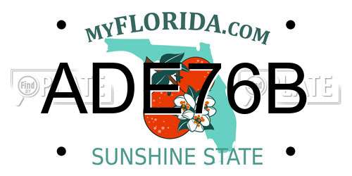 ADE76B Florida License Plate