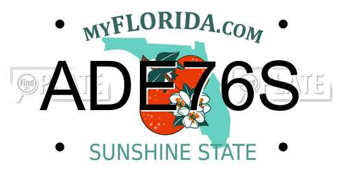ADE76S Florida License Plate