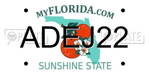 ADEJ22 Florida License Plate