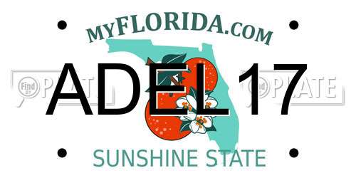 ADEL17 Florida License Plate