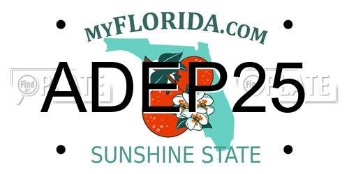 ADEP25 Florida License Plate