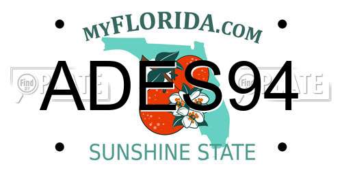 ADES94 Florida License Plate