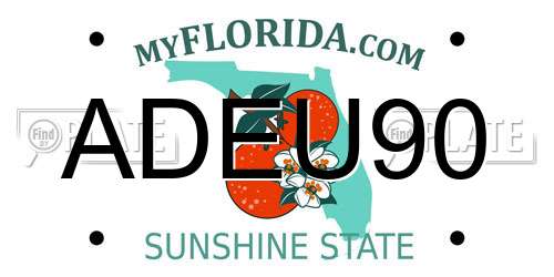 ADEU90 Florida License Plate