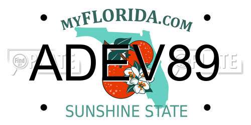 ADEV89 Florida License Plate
