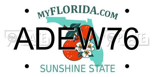 ADEW76 Florida License Plate