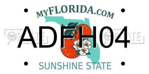 ADFH04 Florida License Plate