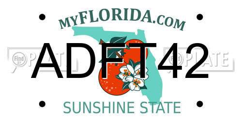 ADFT42 Florida License Plate
