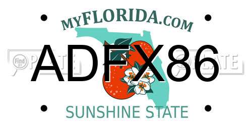 ADFX86 Florida License Plate
