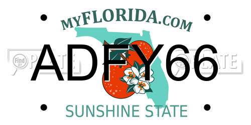 ADFY66 Florida License Plate