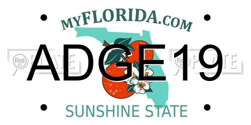ADGE19 Florida License Plate