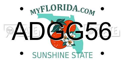 ADGG56 Florida License Plate