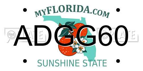 ADGG60 Florida License Plate