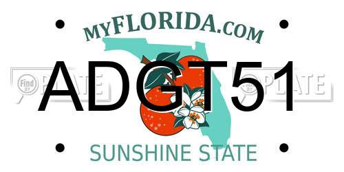 ADGT51 Florida License Plate