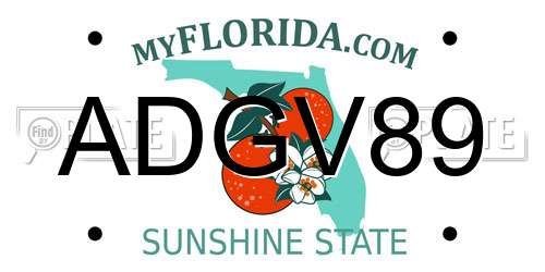 ADGV89 Florida License Plate