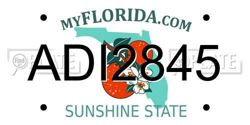ADI2845 Florida License Plate