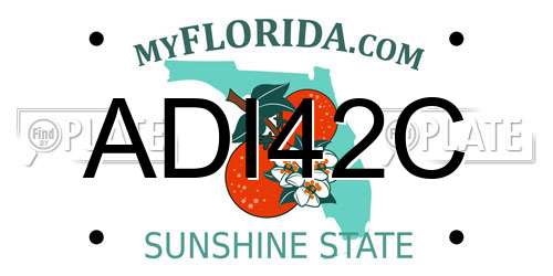 ADI42C Florida License Plate