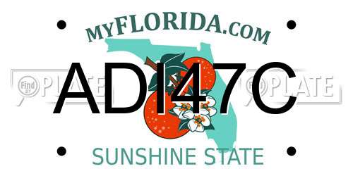 ADI47C Florida License Plate