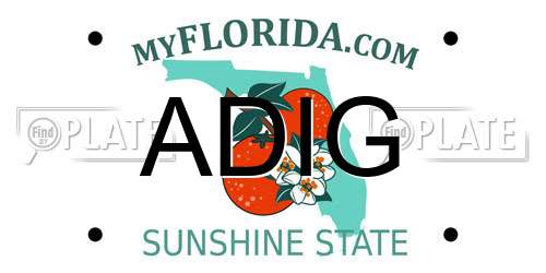 ADIG Florida License Plate