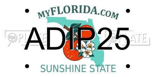 ADIP25 Florida License Plate