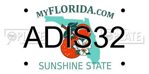 ADIS32 Florida License Plate
