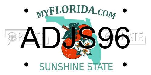 ADJS96 Florida License Plate