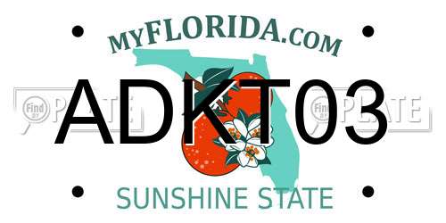 ADKT03 Florida License Plate