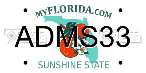 ADMS33 Florida License Plate