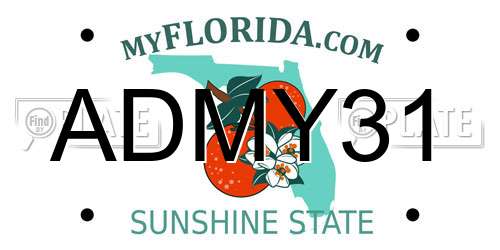 ADMY31 Florida License Plate