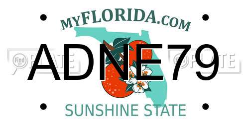 ADNE79 Florida License Plate
