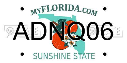 ADNQ06 Florida License Plate
