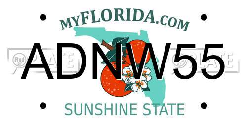 ADNW55 Florida License Plate