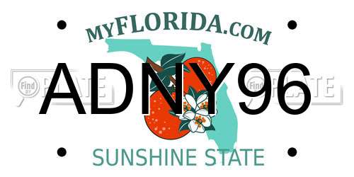 ADNY96 Florida License Plate