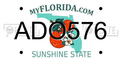 ADO576 Florida License Plate